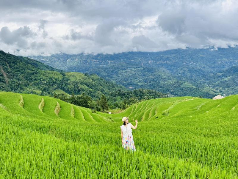 TOUR 2 NGÀY 1 ĐÊM MÙ CANG CHẢI - ĐÈO KHAU PHẠ - TÚ LỆ